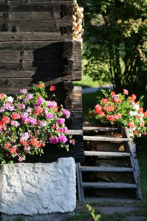 Farm stay Leebhof Patergassen